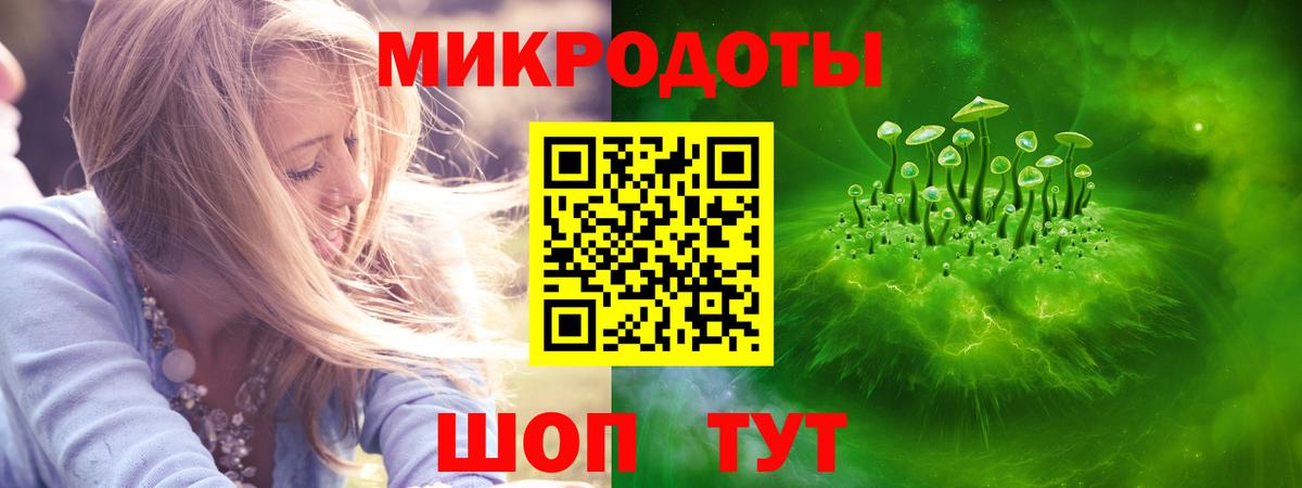 Галлюциногенные грибы ЛСД Кингисепп