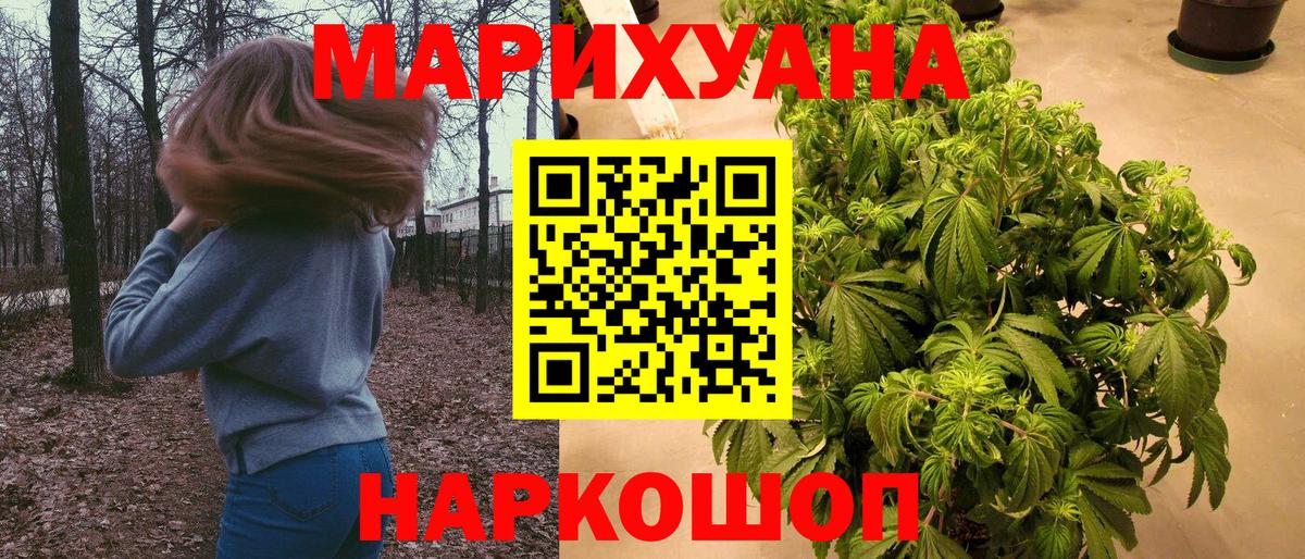 Конопля конопля  Вход с VPN  Конопля MAZAR  Бошки марихуана White Widow  Бошки марихуана ГИДРОПОН  Кингисепп 